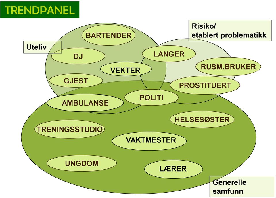 problematikk RUSM.