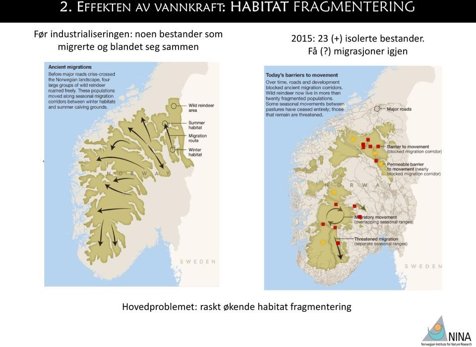 (>8000) 2015: 23 (+) isolerte bestander. Få (?