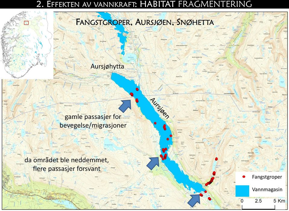 neddemmet, flere passasjer forsvant