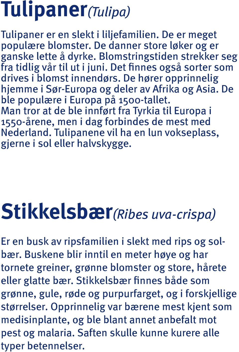 Man tror at de ble innført fra Tyrkia til Europa i 1550-årene, men i dag forbindes de mest med Nederland. Tulipanene vil ha en lun vokseplass, gjerne i sol eller halvskygge.