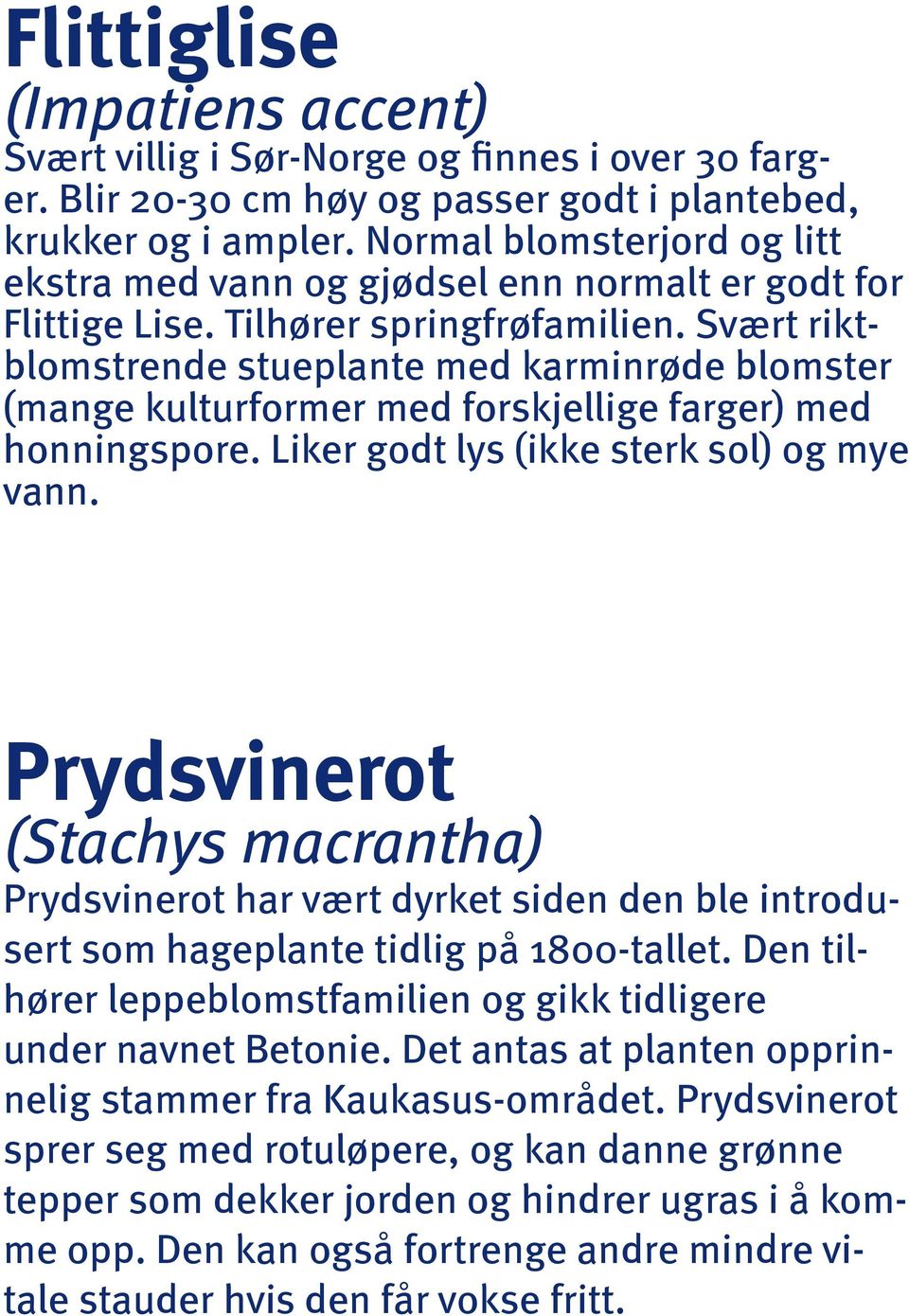 Svært riktblomstrende stueplante med karminrøde blomster (mange kulturformer med forskjellige farger) med honningspore. Liker godt lys (ikke sterk sol) og mye vann.