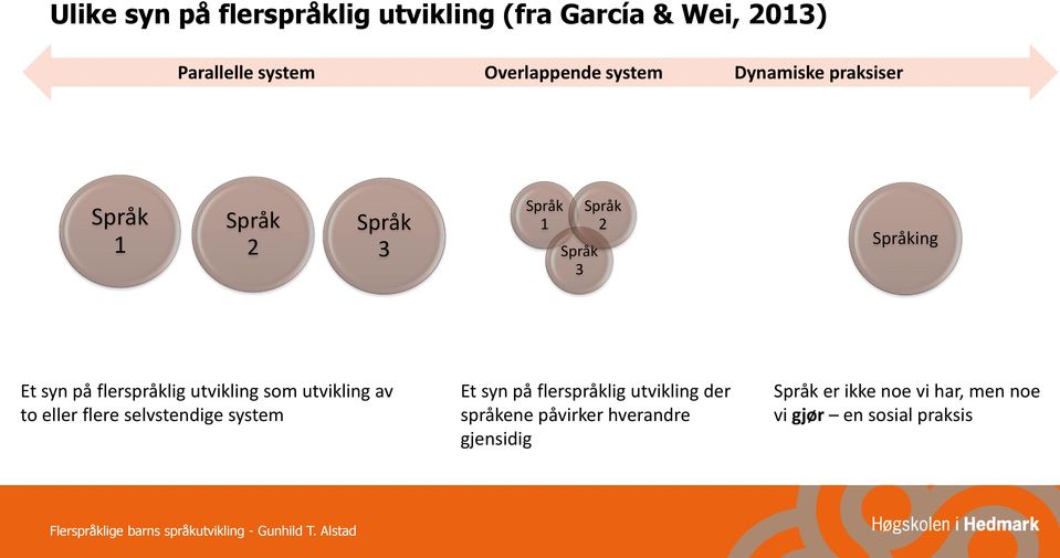 utvikling som utvikling av to eller flere selvstendige system Et syn på flerspråklig