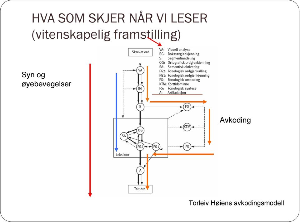 Syn og øyebevegelser