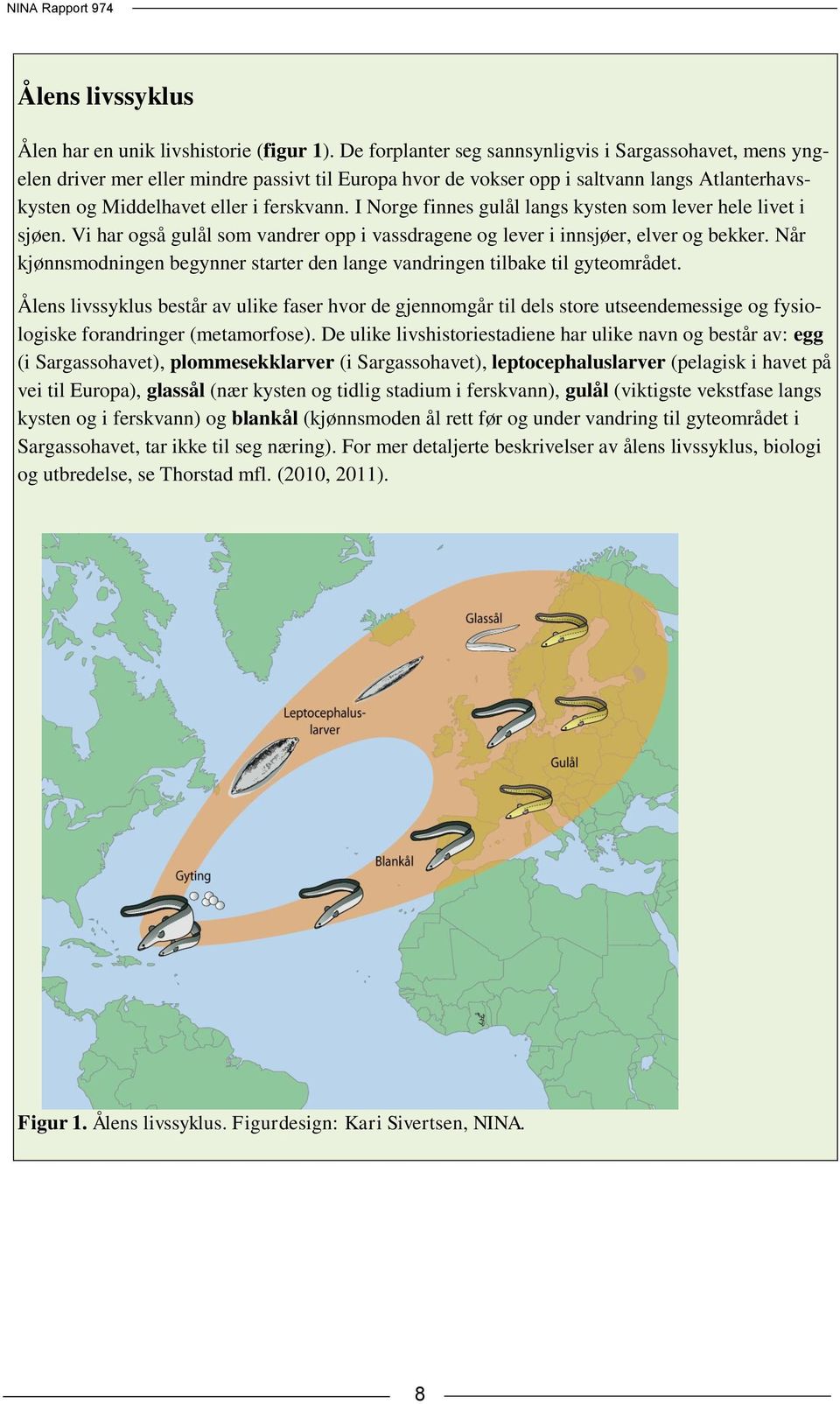 I Norge finnes gulål langs kysten som lever hele livet i sjøen. Vi har også gulål som vandrer opp i vassdragene og lever i innsjøer, elver og bekker.