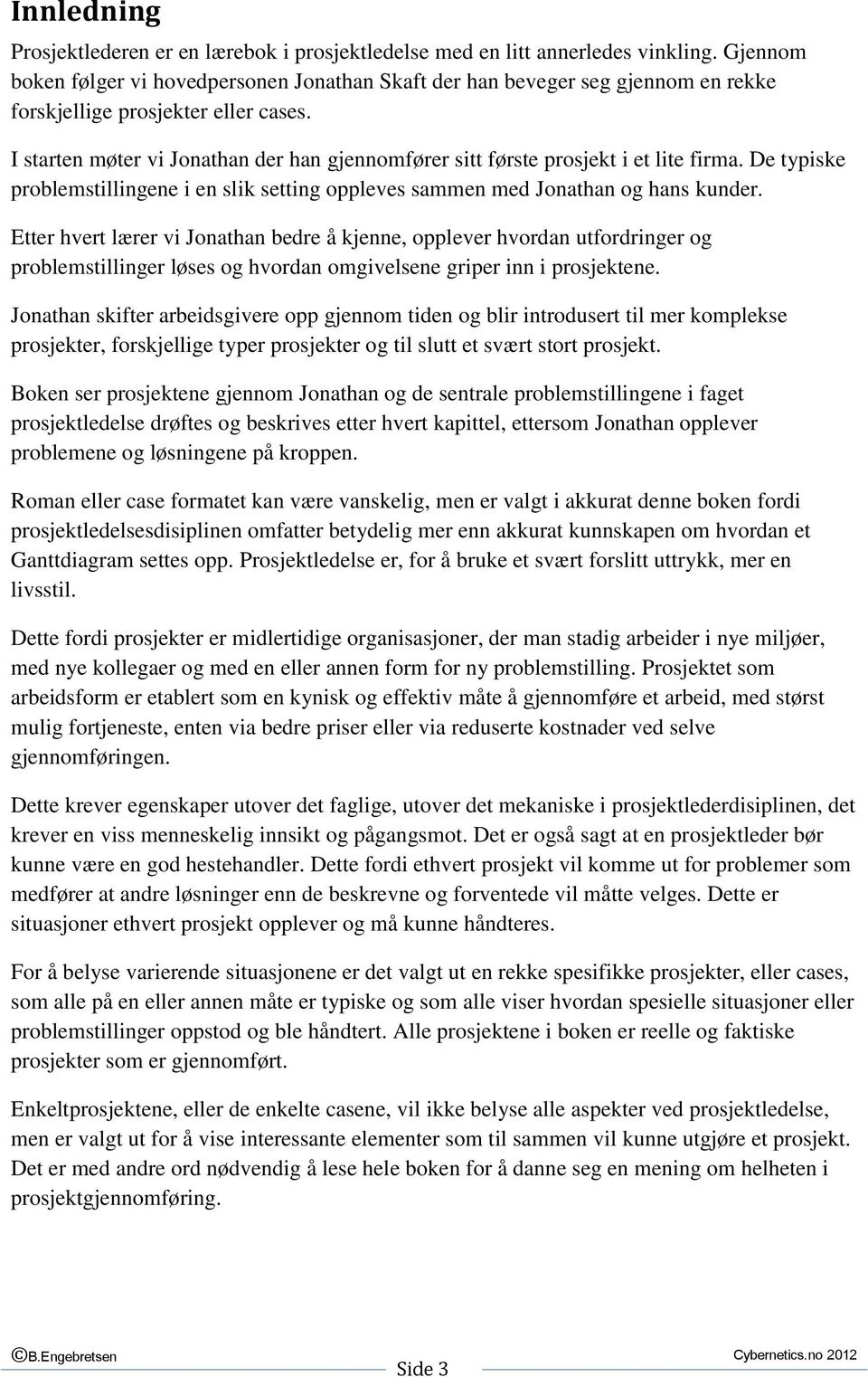 I starten møter vi Jonathan der han gjennomfører sitt første prosjekt i et lite firma. De typiske problemstillingene i en slik setting oppleves sammen med Jonathan og hans kunder.