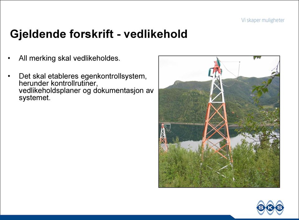 Det skal etableres egenkontrollsystem,