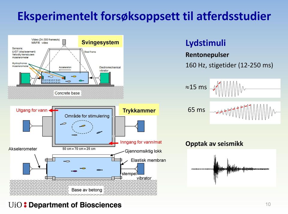 Trykkammer -4 3 65 ms 2 2-5 1 0-1 -2 0 0.02 0.04 0.06 0.08 0.10 0.12 0.