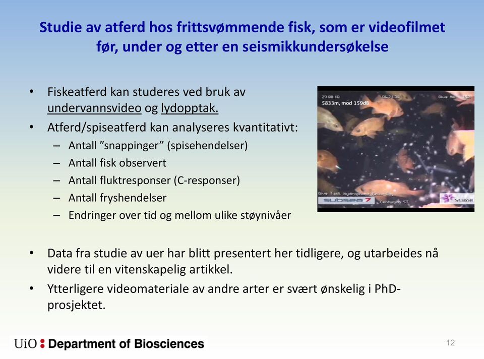 Atferd/spiseatferd kan analyseres kvantitativt: Antall snappinger (spisehendelser) Antall fisk observert Antall fluktresponser (C-responser)