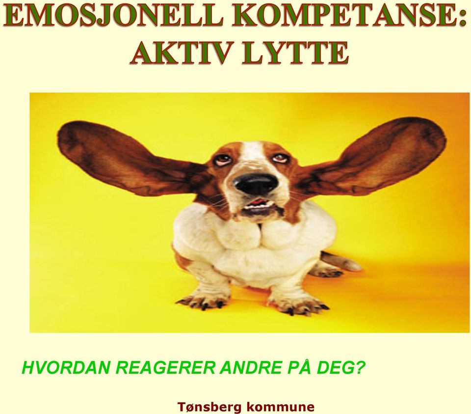 ANDRE PÅ