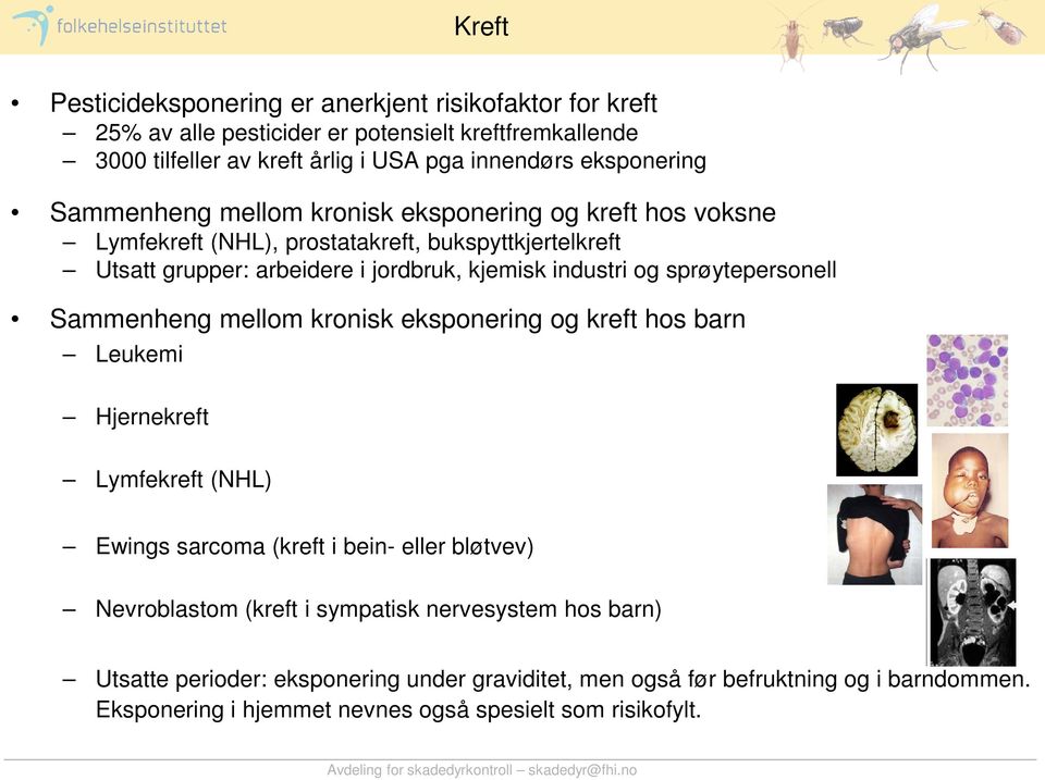 industri og sprøytepersonell Sammenheng mellom kronisk eksponering og kreft hos barn Leukemi Hjernekreft Lymfekreft (NHL) Ewings sarcoma (kreft i bein- eller bløtvev)