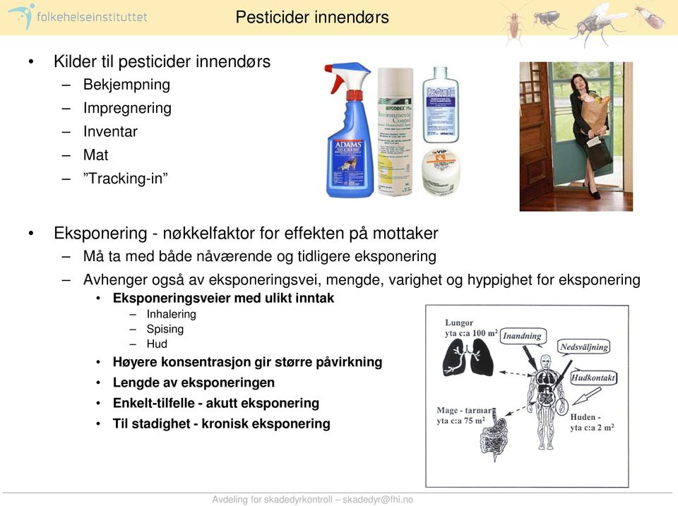 eksponeringsvei, mengde, varighet og hyppighet for eksponering Eksponeringsveier med ulikt inntak Inhalering Spising Hud