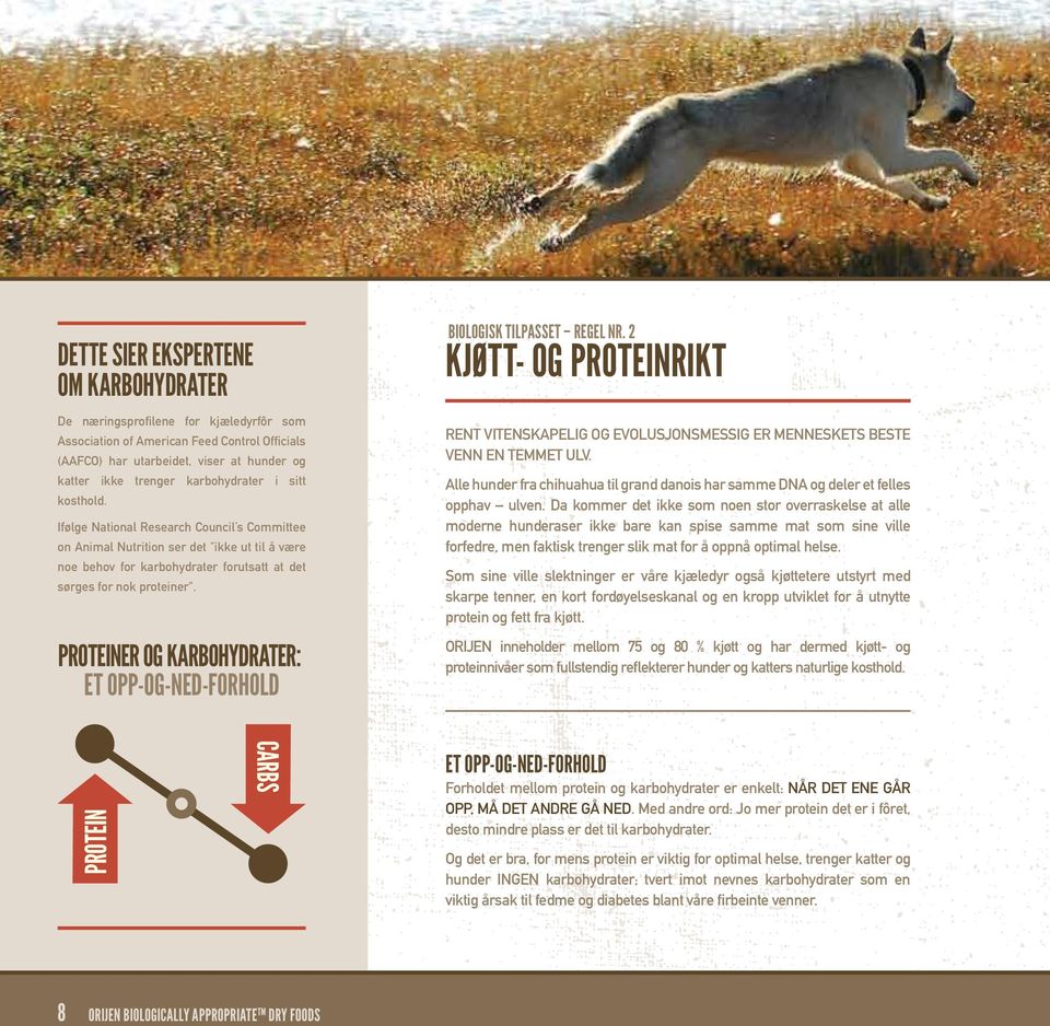 PROTEINER OG KARBOHYDRATER: ET OPP-OG-NED-FORHOLD BIOLOGISK TILPASSET REGEL NR. 2 KJØTT- OG PROTEINRIKT RENT VITENSKAPELIG OG EVOLUSJONSMESSIG ER MENNESKETS BESTE VENN EN TEMMET ULV.