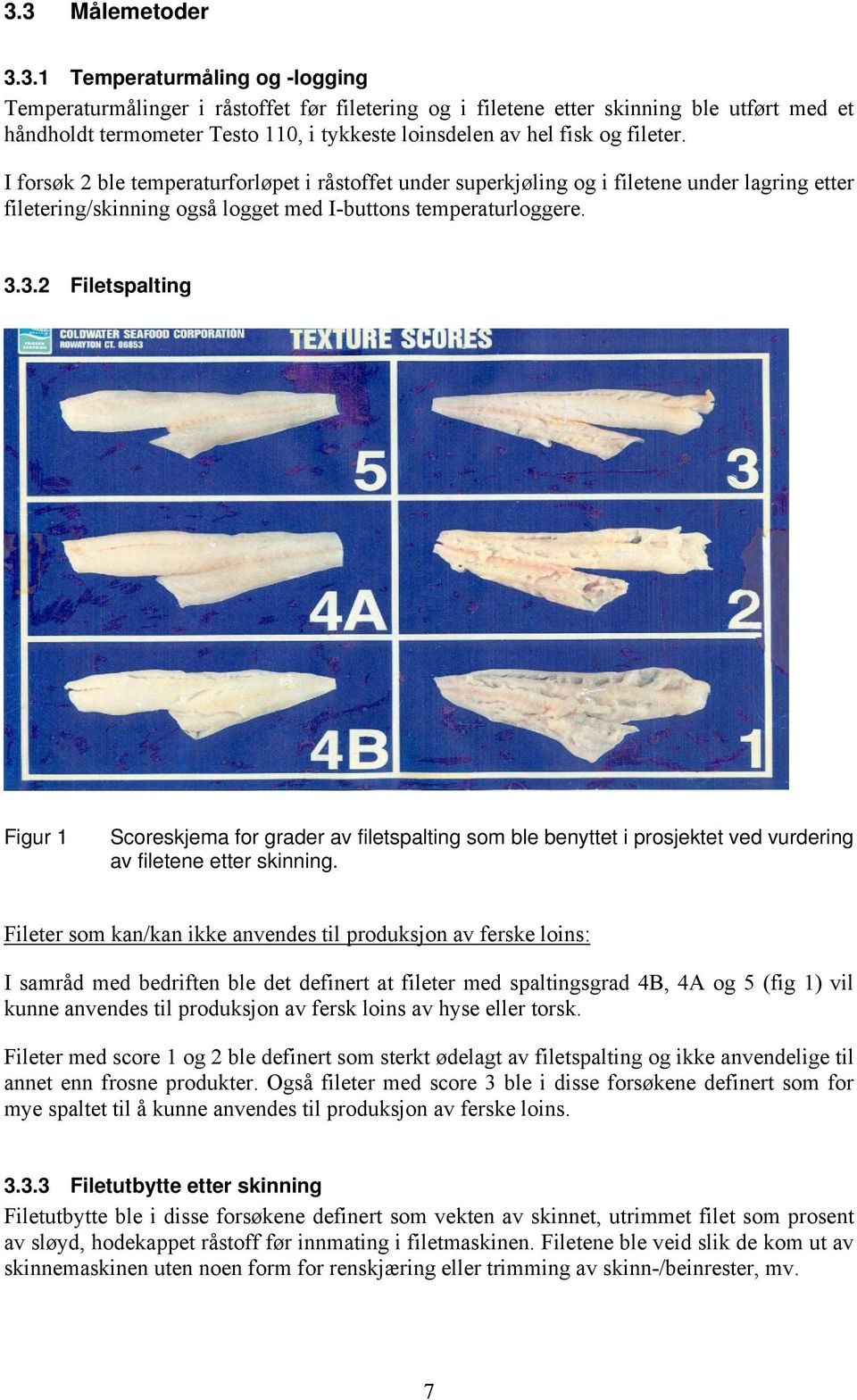 3.2 Filetspalting Figur 1 Scoreskjema for grader av filetspalting som ble benyttet i prosjektet ved vurdering av filetene etter skinning.