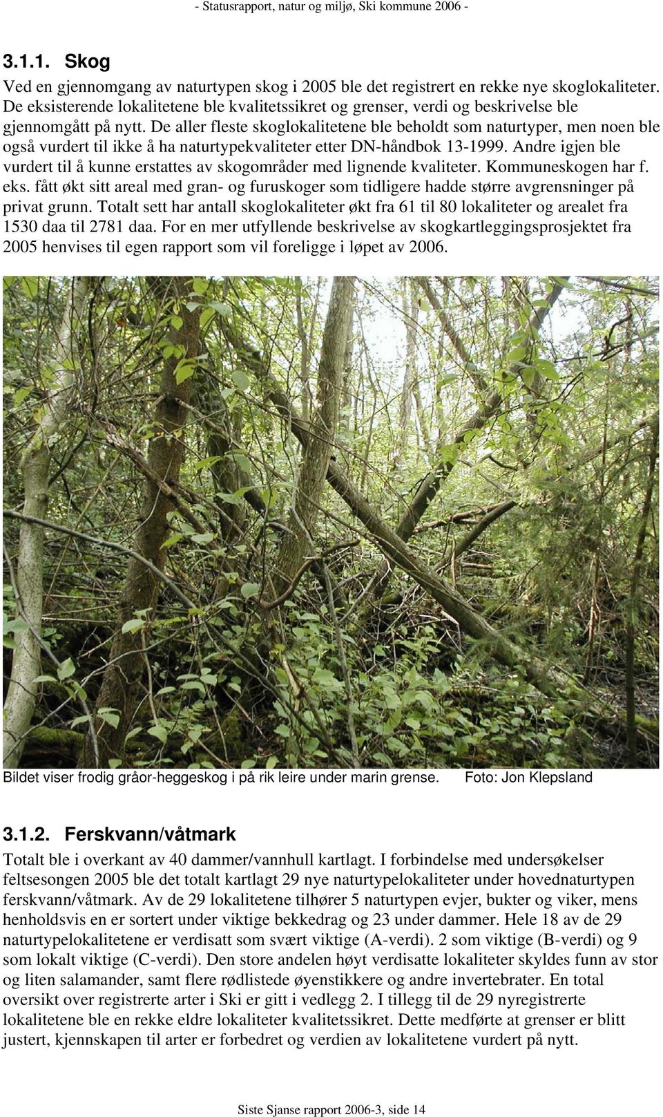 De aller fleste skoglokalitetene ble beholdt som naturtyper, men noen ble også vurdert til ikke å ha naturtypekvaliteter etter DN-håndbok 13-1999.