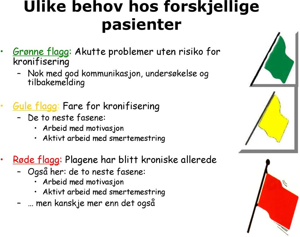 Arbeid med motivasjon Aktivt arbeid med smertemestring Røde flagg: Plagene har blitt kroniske allerede Også