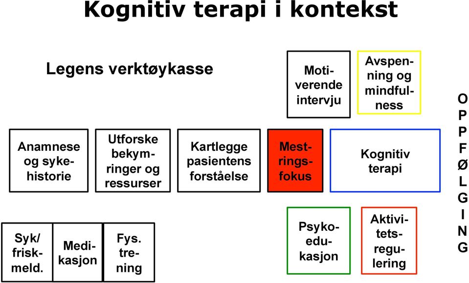 pasientens forståelse Motiverende intervju Mestringsfokus Psykoedukasjon