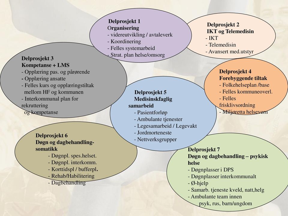 helset. - Døgnpl. interkomm. - Korttidspl / bufferpl. - Rehab/Habilitering - Dagbehandling Delprosjekt 1 Organisering - videreutvikling / avtaleverk - Koordinering - Felles systemarbeid - Strat.