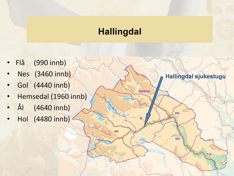 Hemsedal (1960 innb) Ål (4640