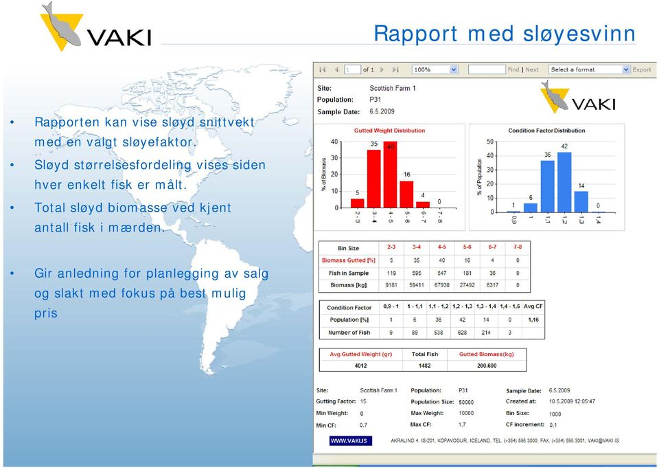 Sløyd størrelsesfordeling li vises siden hver enkelt fisk er målt.