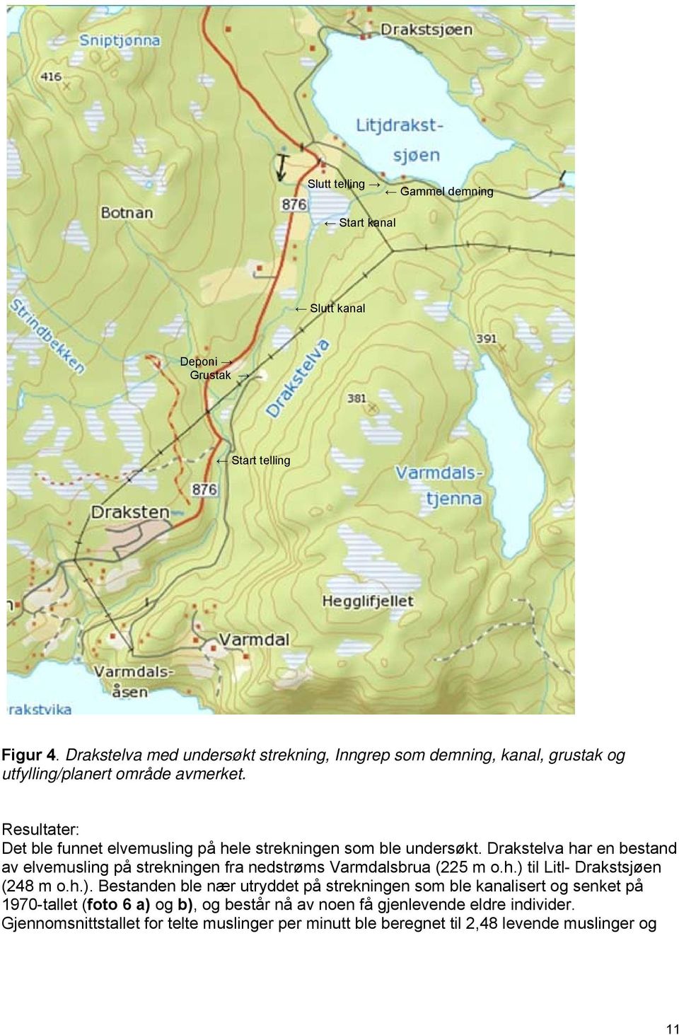 Resultater: Det ble funnet elvemusling på hele strekningen som ble undersøkt.