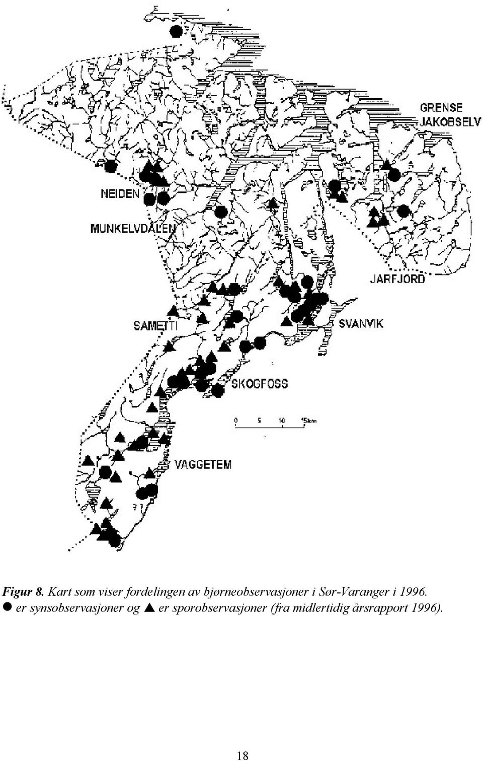 bjørneobservasjoner i Sør-Varanger i