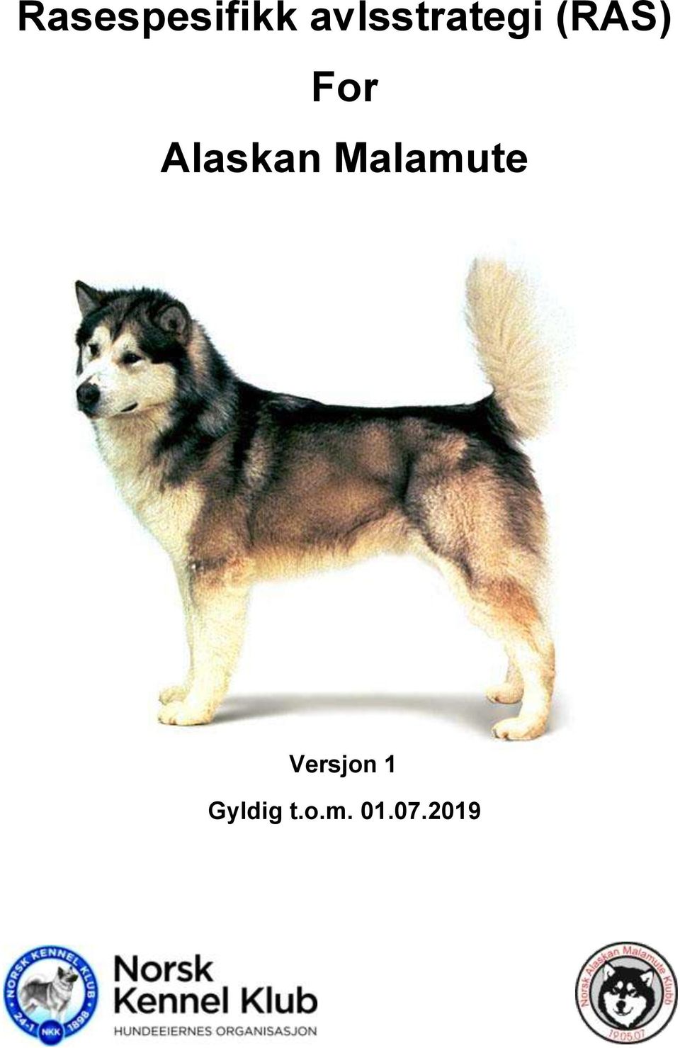 For Alaskan Malamute