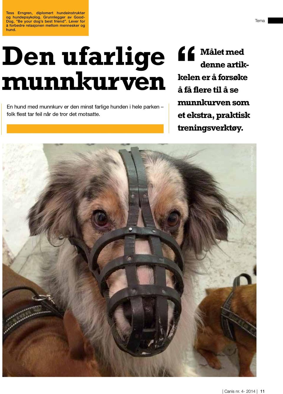 Lever for å forbedre relasjonen mellom mennesker og hund.