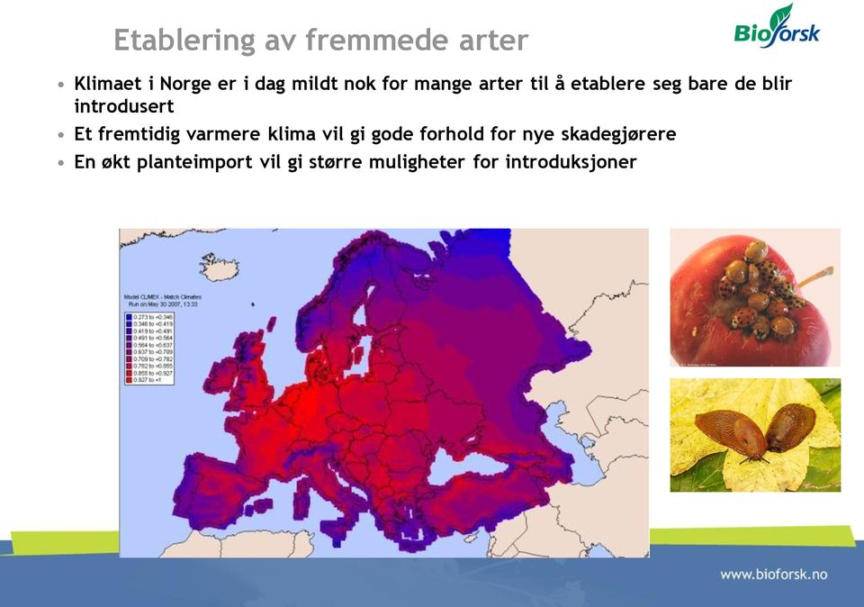 fremtidig varmere klima vil gi gode forhold for nye