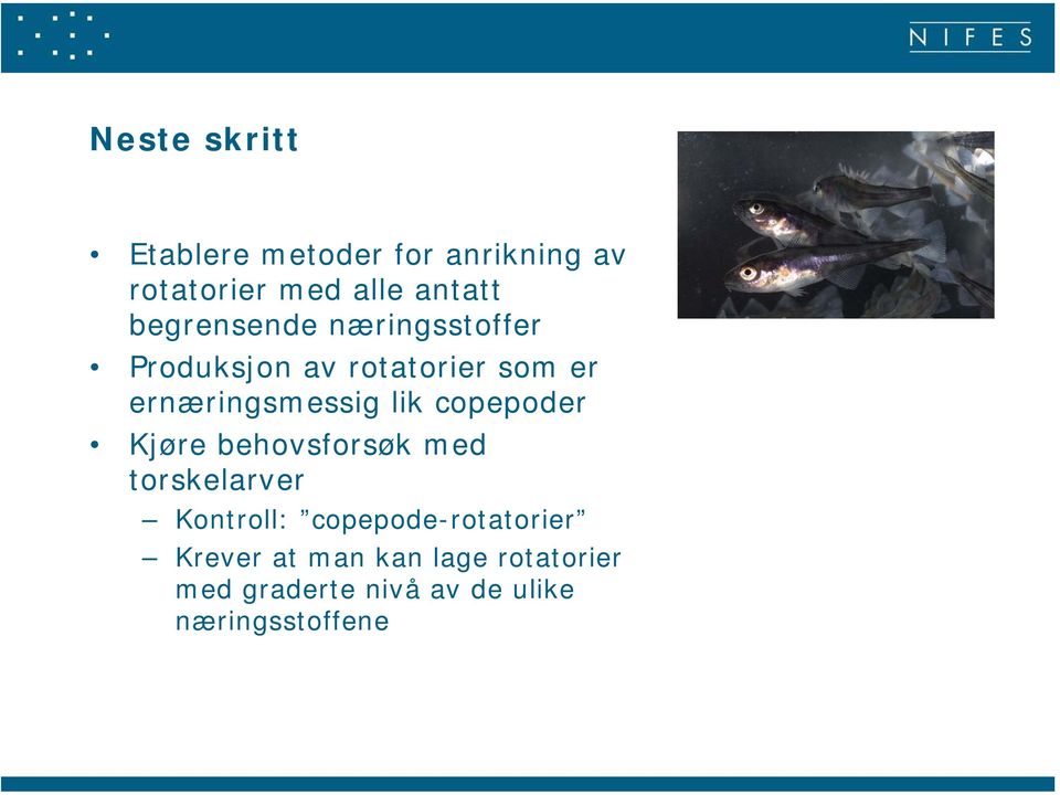 lik copepoder Kjøre behovsforsøk med torskelarver Kontroll: