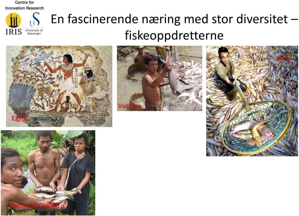 fiskeoppdretterne Kina