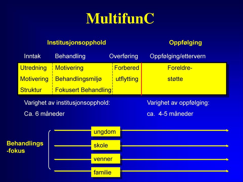 Behandlingsmiljø utflytting støtte Struktur Fokusert Behandling Varighet av