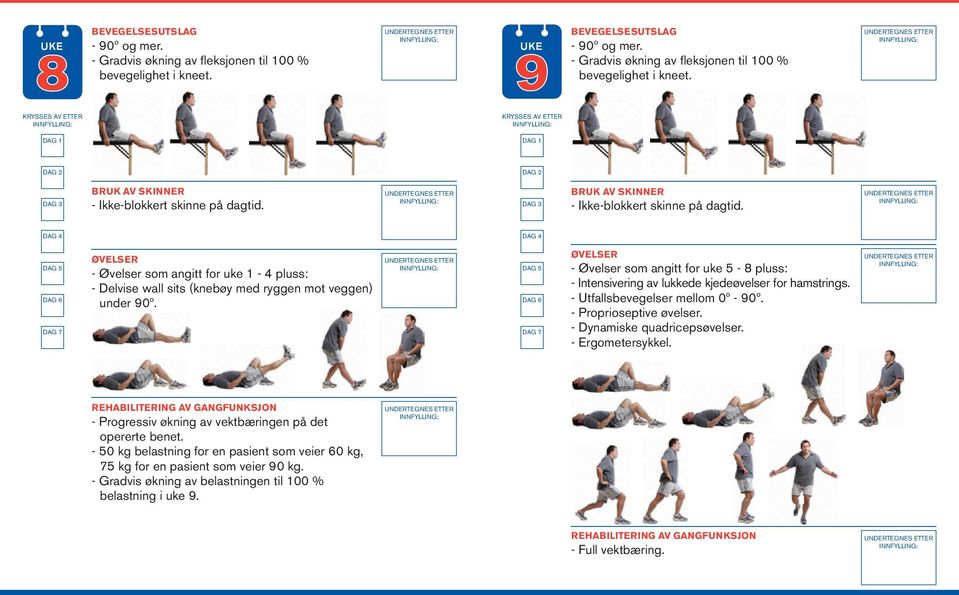 DAG 5 DAG 5 - Øvelser som angitt for uke 1-4 pluss: - Delvise wall sits (knebøy med ryggen mot veggen) under 90º.