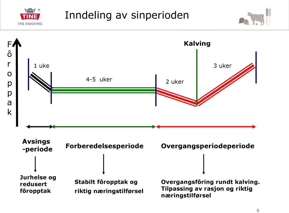 Jurhelse og redusert fôropptak Stabilt fôropptak og riktig