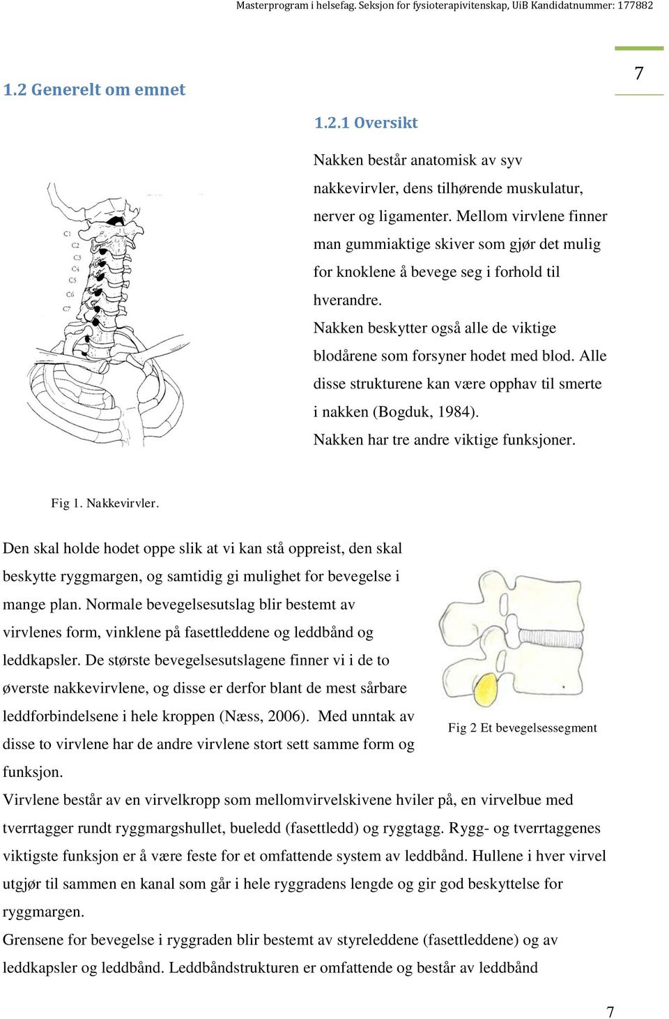 Alle disse strukturene kan være opphav til smerte i nakken (Bogduk, 1984). Nakken har tre andre viktige funksjoner. Fig 1. Nakkevirvler.