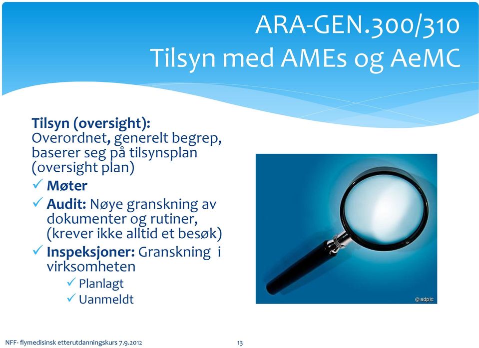 baserer seg på tilsynsplan (oversight plan) Møter Audit: Nøye granskning av