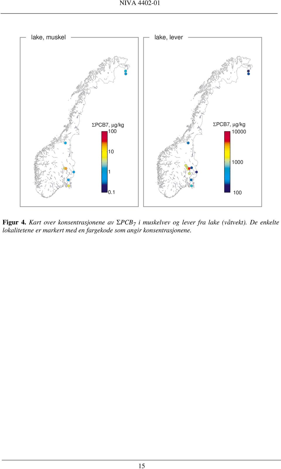 Kart over konsentrasjonene av ΣPCB 7 i muskelvev og lever fra