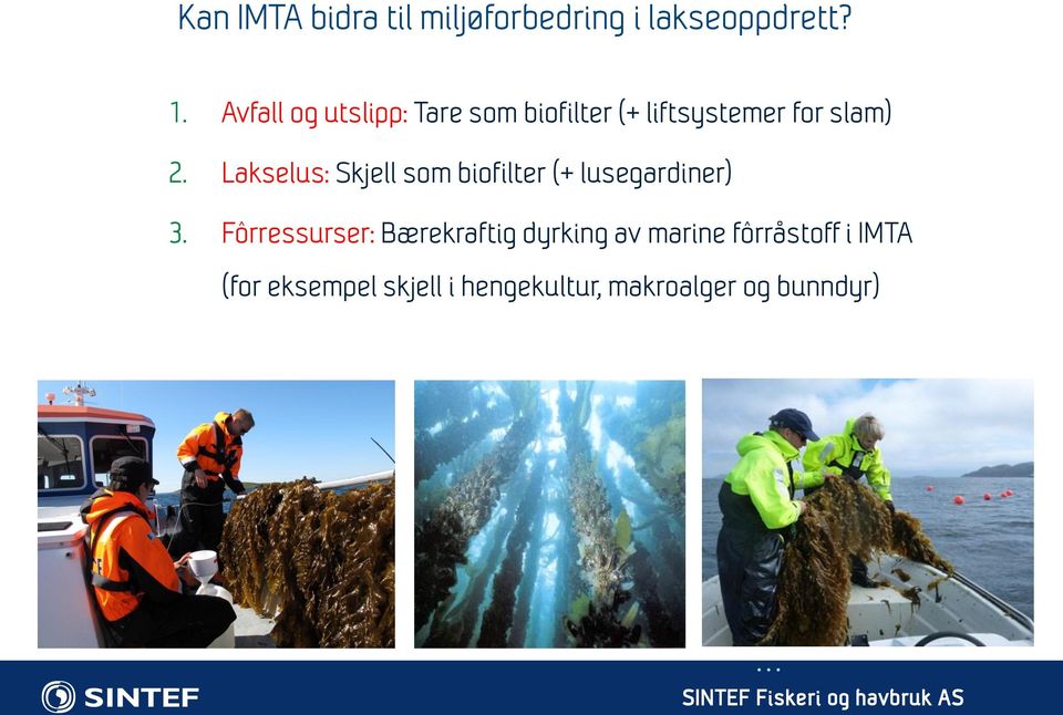 Lakselus: Skjell som biofilter (+ lusegardiner) 3.