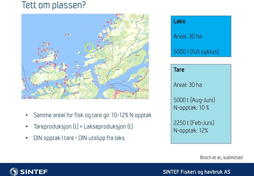 fisk og tare gir 10-12% N opptak Tareproduksjon (t) = Lakseproduksjon (t)