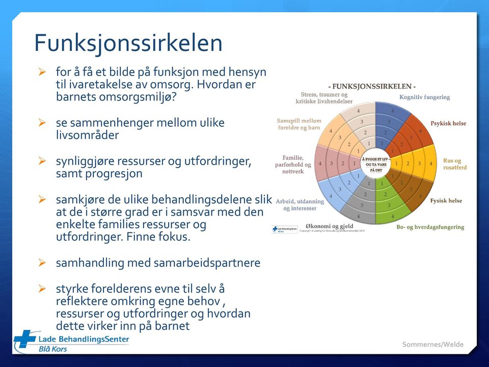 behandlingsdelene slik at de i større grad er i samsvar med den enkelte families ressurser og utfordringer. Finne fokus.