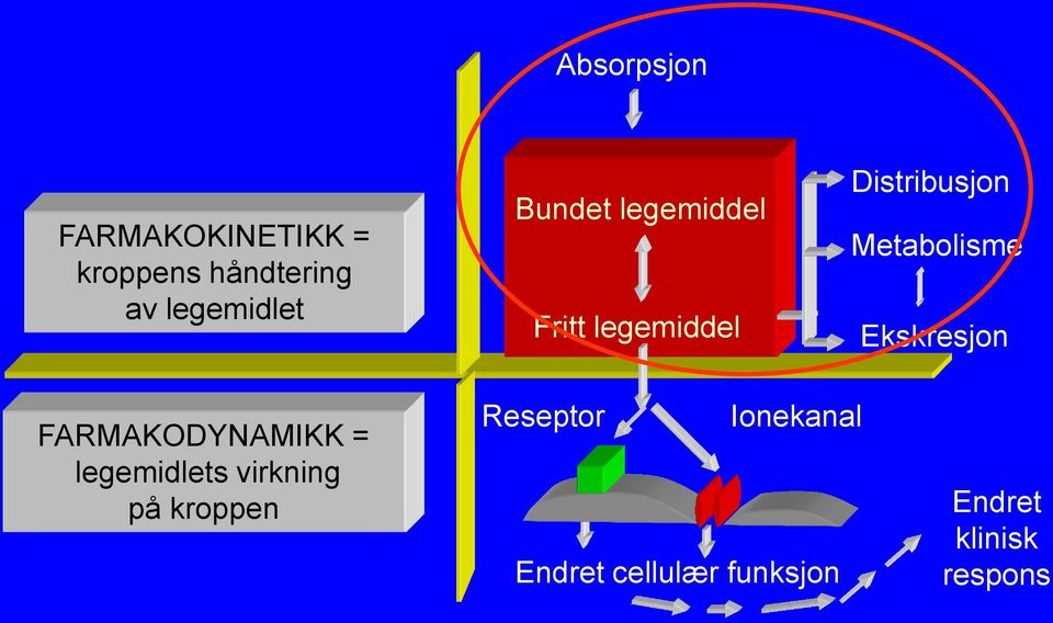 Ekskresjon FARMAKODYNAMIKK = legemidlets virkning på kroppen