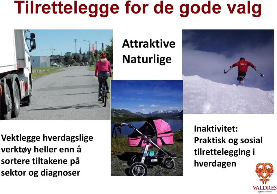 enn å sortere tiltakene på sektor og diagnoser