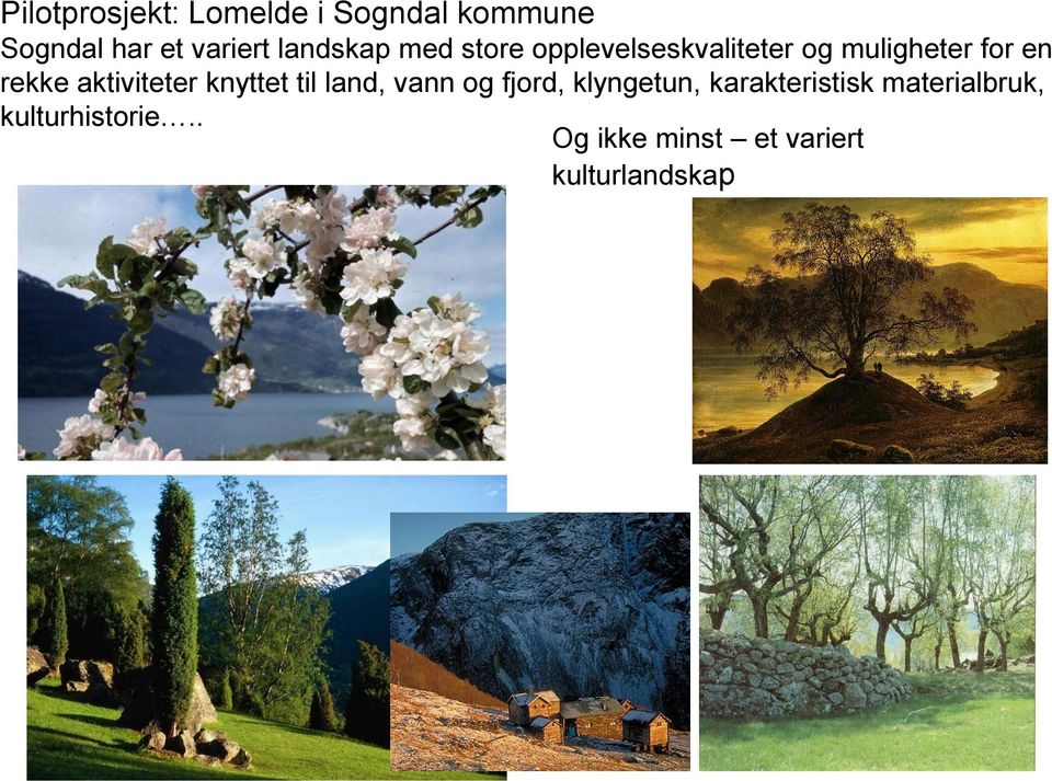 aktiviteter knyttet til land, vann og fjord, klyngetun,