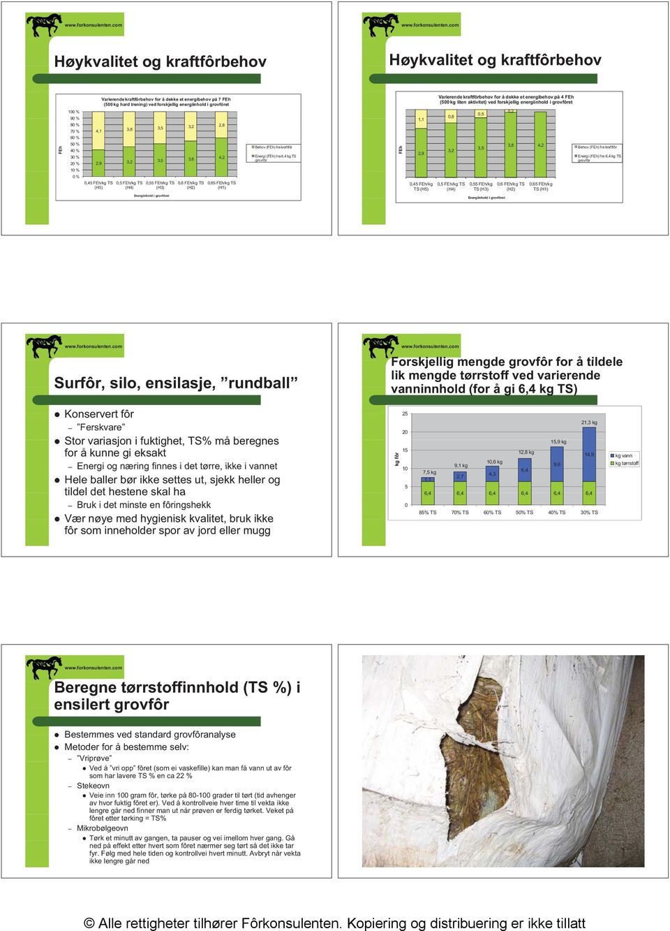 80 % 50 % Behov (FEh) fra kraf tfôr 40 % 30 % 20 % FEh FEh 60 % 42 4,2 38 3,8 3,5 3,2 2,9 Energi (FEh) f ra 6,4 kg TS grovfôr Behov (FEh) fra kraf tfôr Energi (FEh) f ra 6,4 kg TS grovfôr 10 % 0%