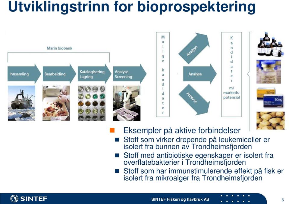 egenskaper er isolert fra overflatebakterier i Trondheimsfjorden Stoff som har