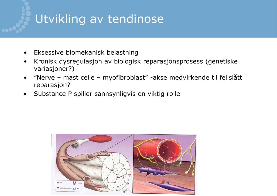 variasjoner?