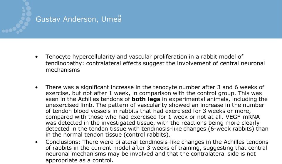 This was seen in the Achilles tendons of both legs in experimental animals, including the unexercised limb.