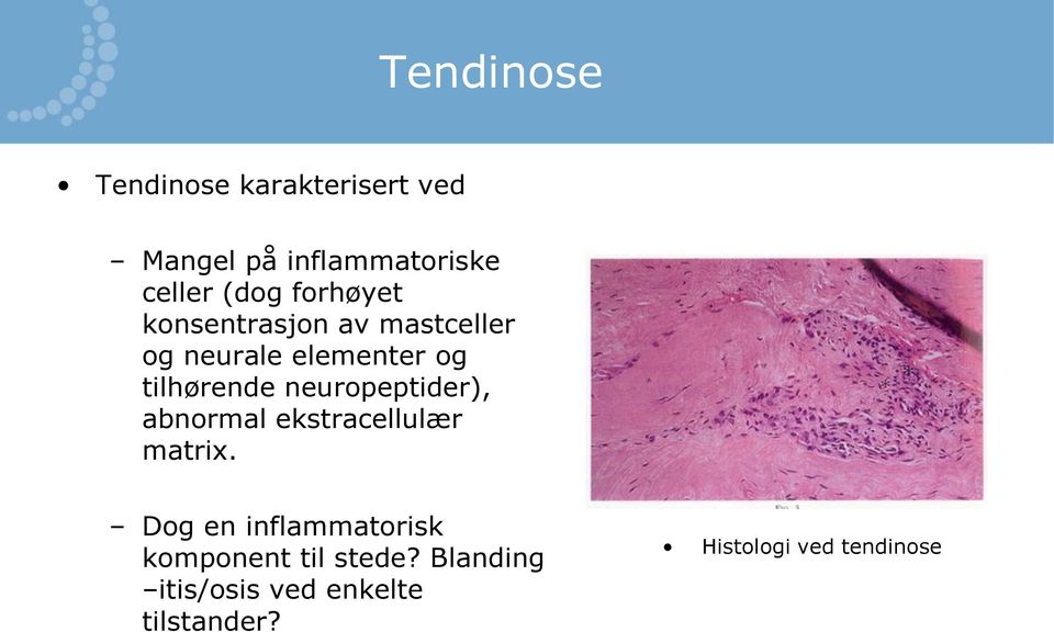 neuropeptider), abnormal ekstracellulær matrix.