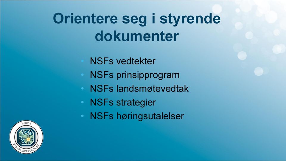 prinsipprogram NSFs