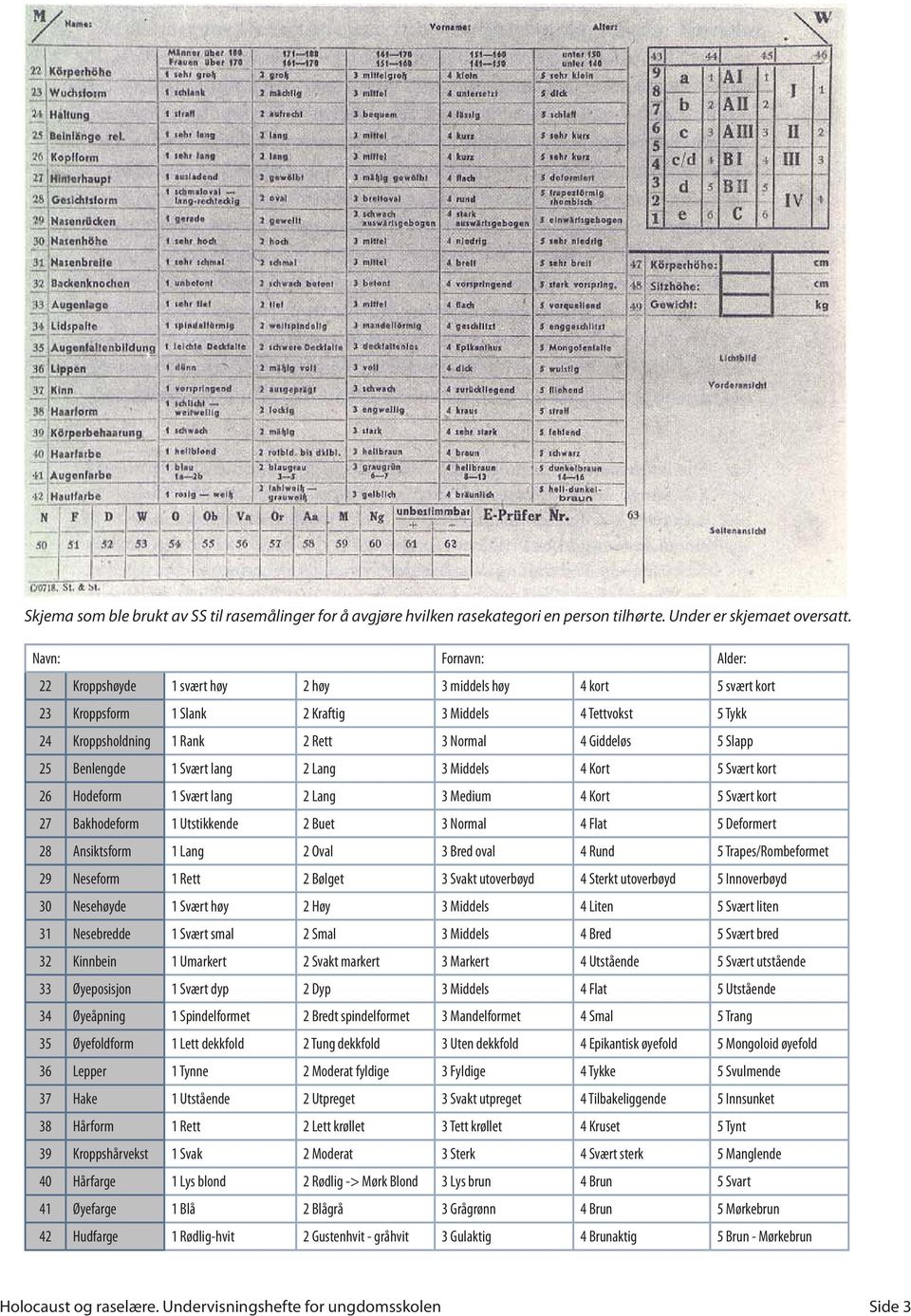 Giddeløs 5 Slapp 25 Benlengde 1 Svært lang 2 Lang 3 Middels 4 Kort 5 Svært kort 26 Hodeform 1 Svært lang 2 Lang 3 Medium 4 Kort 5 Svært kort 27 Bakhodeform 1 Utstikkende 2 Buet 3 Normal 4 Flat 5