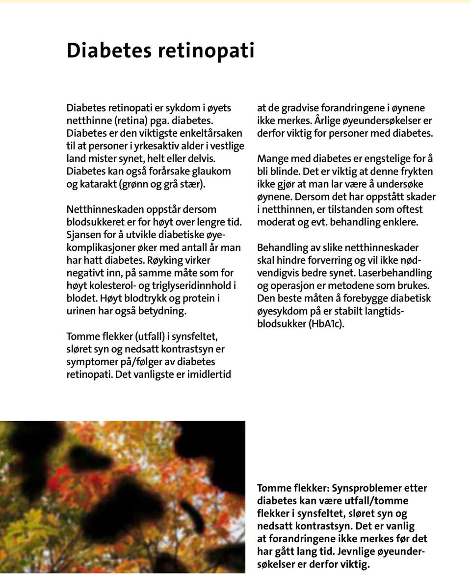 Netthinneskaden oppstår dersom blodsukkeret er for høyt over lengre tid. Sjansen for å utvikle diabetiske øyekomplikasjoner øker med antall år man har hatt diabetes.